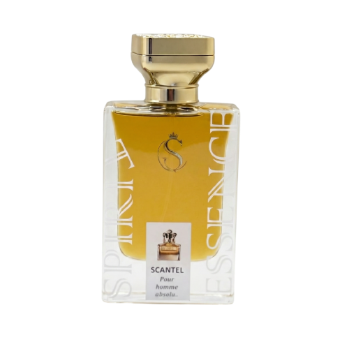 Scantel Pour homme